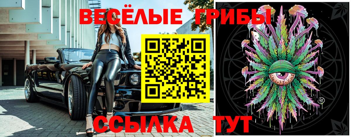Ачхой-Мартан  Галлюциногенные грибы Psilocybine cubensis  Вход с VPN 